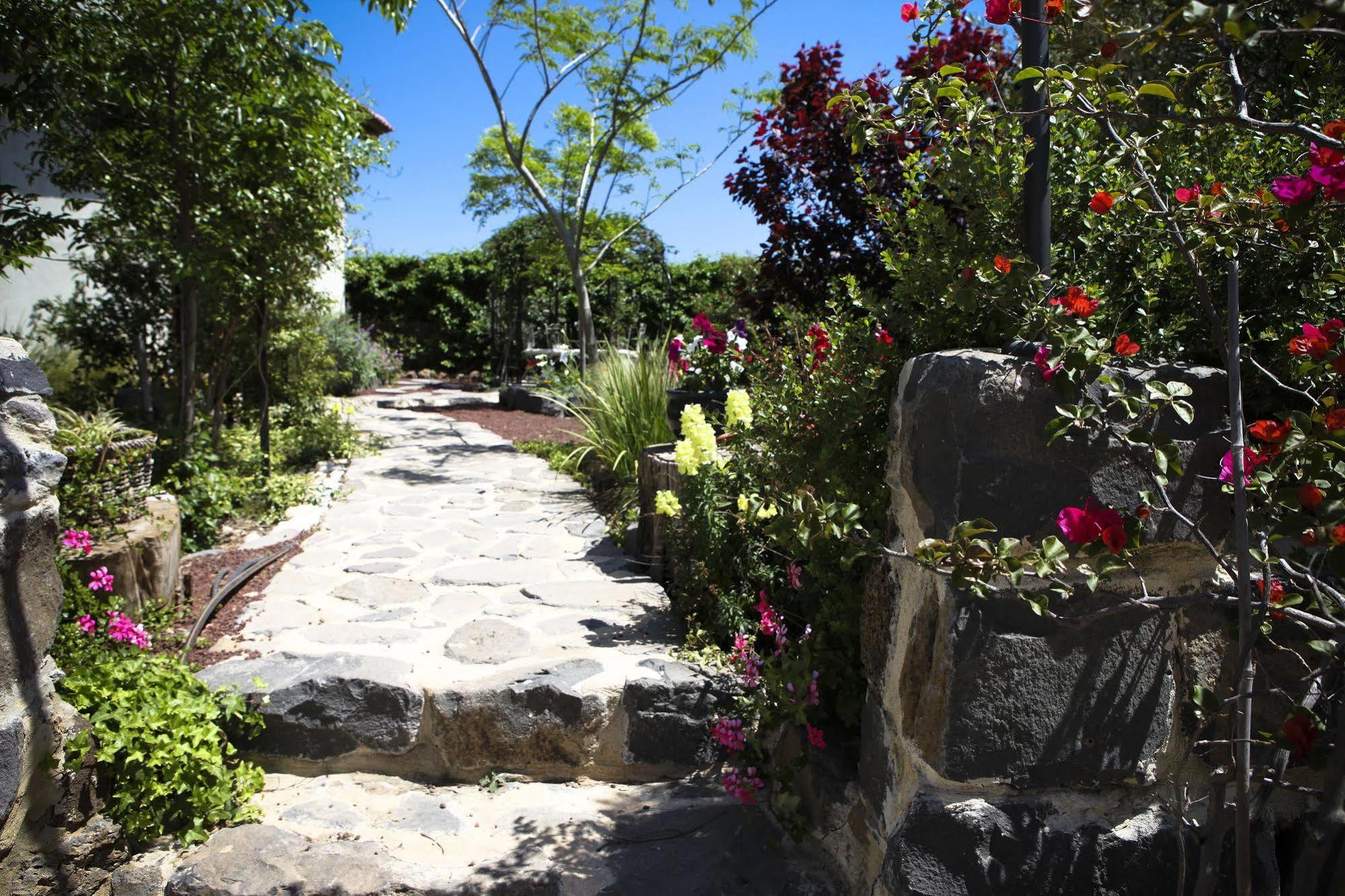 Villa Golan Кацрин Экстерьер фото